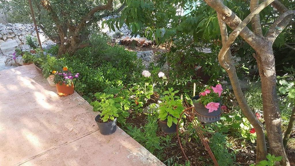 Holiday Home Zeljana Đảo Đảo Kaprije Ngoại thất bức ảnh