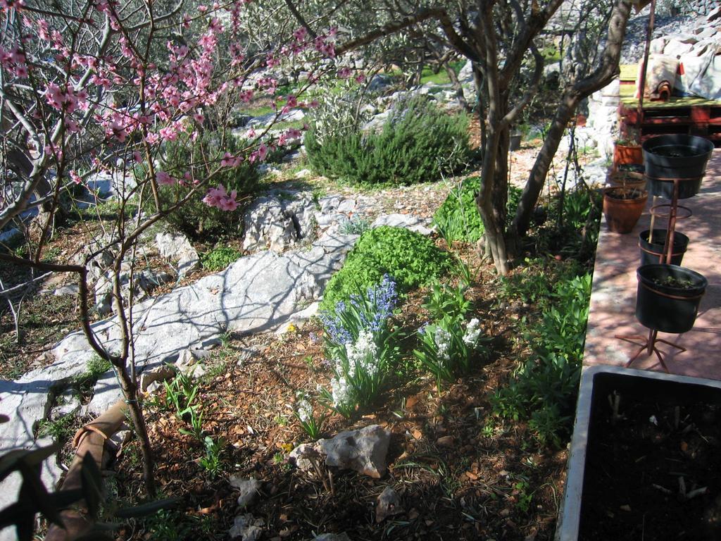Holiday Home Zeljana Đảo Đảo Kaprije Ngoại thất bức ảnh