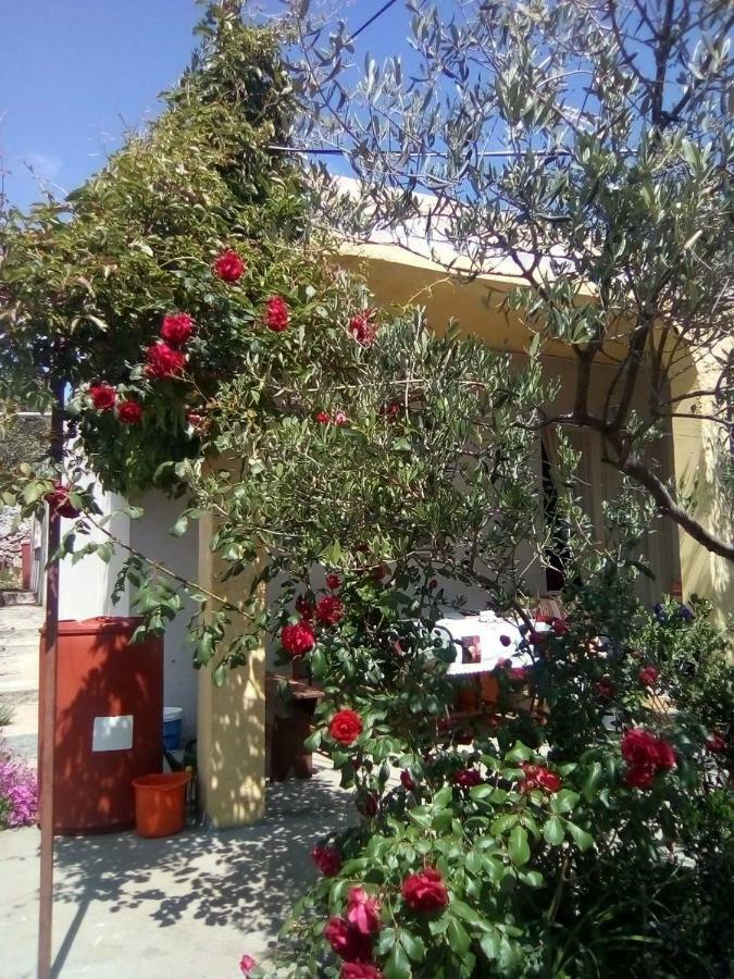 Holiday Home Zeljana Đảo Đảo Kaprije Ngoại thất bức ảnh